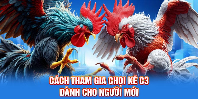 Cách tham gia chọi kê c3 dành cho người mới