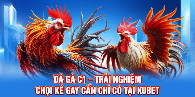 đá gà c1