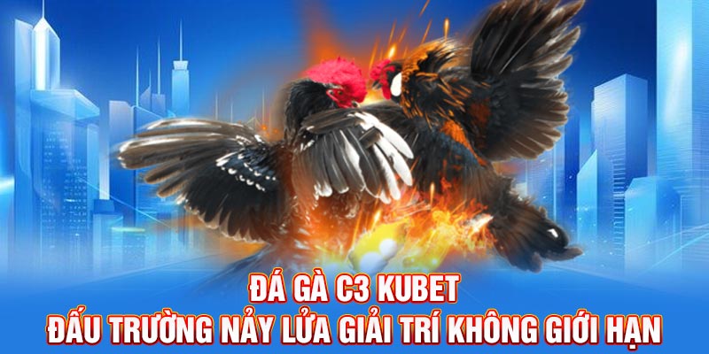 Đá gà C3