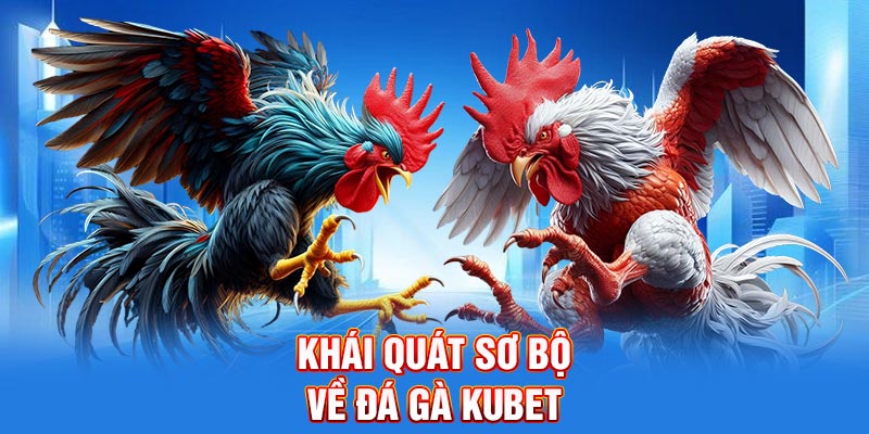 Khái quát sơ bộ về đá gà Kubet