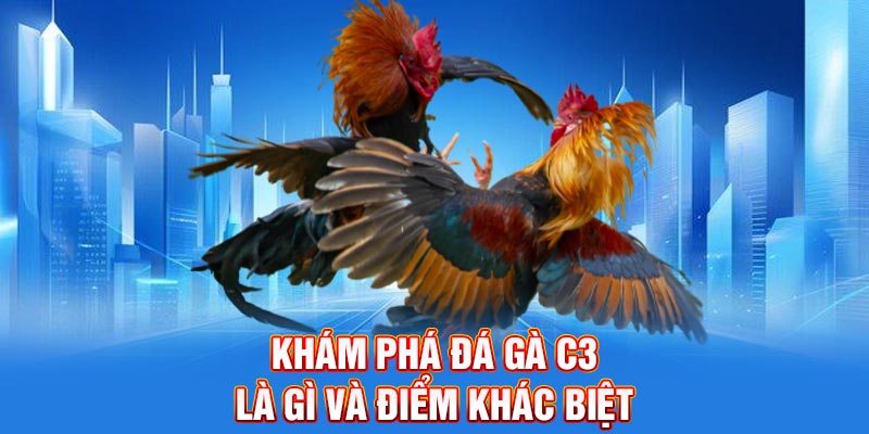 Khám phá đá gà c3 là gì và điểm khác biệt