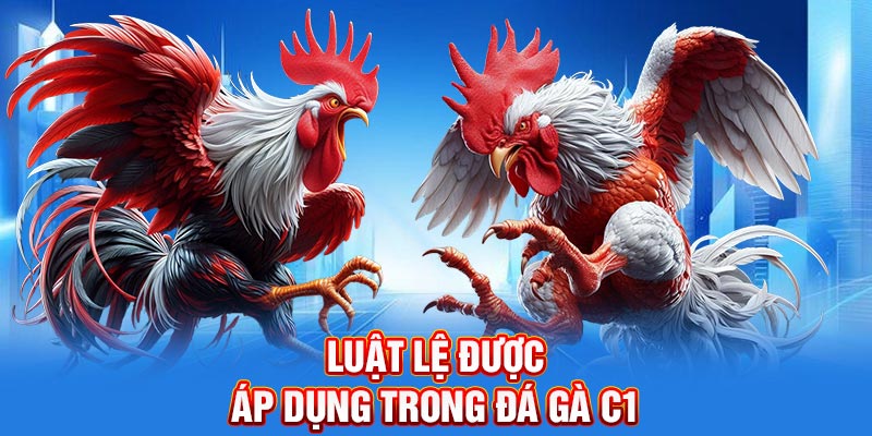 Luật lệ được áp dụng trong đá gà C1