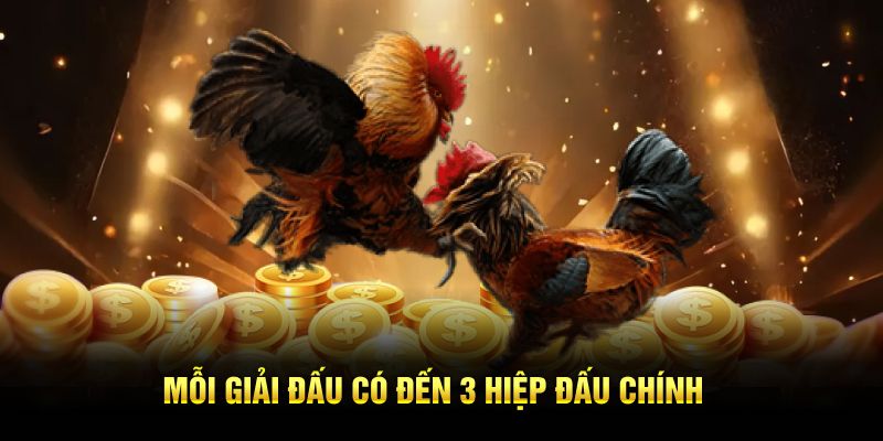 Mỗi giải đấu có đến 3 hiệp đấu chính